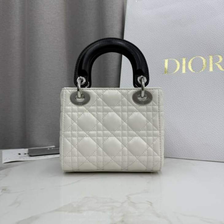 Picture of Dior Handbags _SKUfw239327338fw